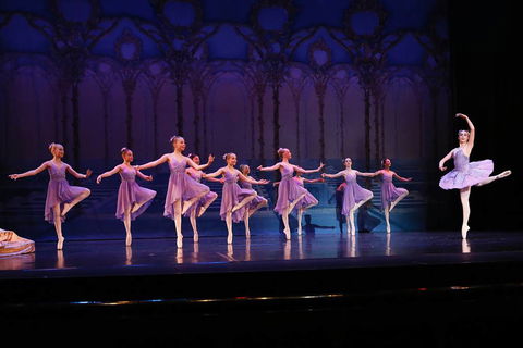 National College Of Dance - Education Gold Coast 13