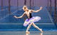 National College Of Dance - thumb 14
