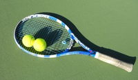 The Four Seasons Tennis School