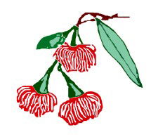 Mudgeeraba Special School - Education QLD 0