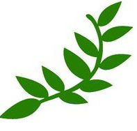 Laburnum Primary School - Education QLD