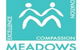 Meadows Primary School - thumb 0