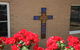 Christ The King Primary School Newcomb - thumb 6