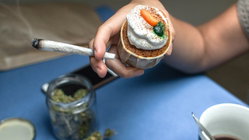 Cannabis cafes may become tourist draw in US city as lung experts cite 'toxic chemical' concerns Education QLD