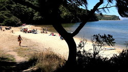 Deadly mystery unfolds as canoeists are found unresponsive after midnight trip Education QLD