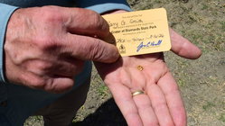Grandfather finds hidden treasure in plain sight as park officials 'dumbfounded' by discovery Education QLD
