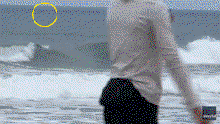 Shark Week shocker as great white breaches just yards from oblivious boogie boarder Education QLD